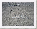 Greeting at Beach on Fleur de Lis Trail * 2592 x 1944 * (2.8MB)